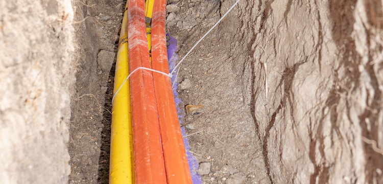 大量元素水溶肥檢測(cè)