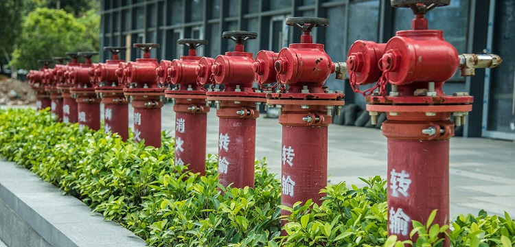 ?化妝品功效評價的現(xiàn)狀和發(fā)展