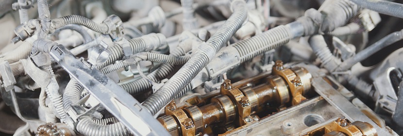 生物相容性檢測機構(gòu)：生物相容性評價方法介紹