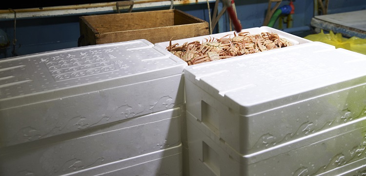 排水管道閉水試驗分析：試驗不合格的原因及對應措施