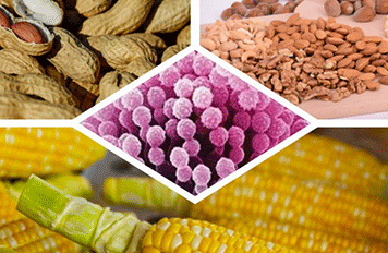 廚房抽油煙機(jī)檢測設(shè)備?滅菌器檢測項(xiàng)目及標(biāo)準(zhǔn) ?健明迪