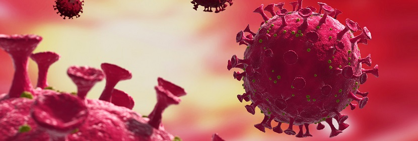 核酸清除劑檢測(cè)