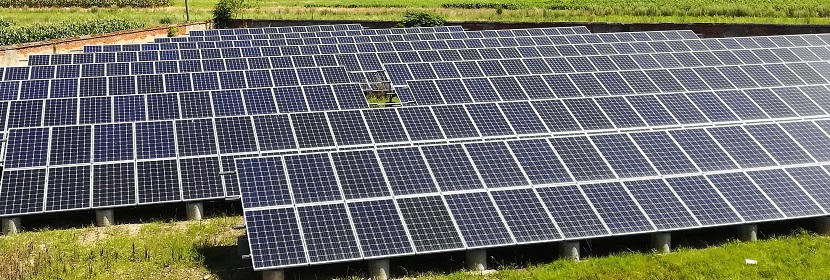 DOCA誘導急性鹽敏感性高血壓小鼠模型