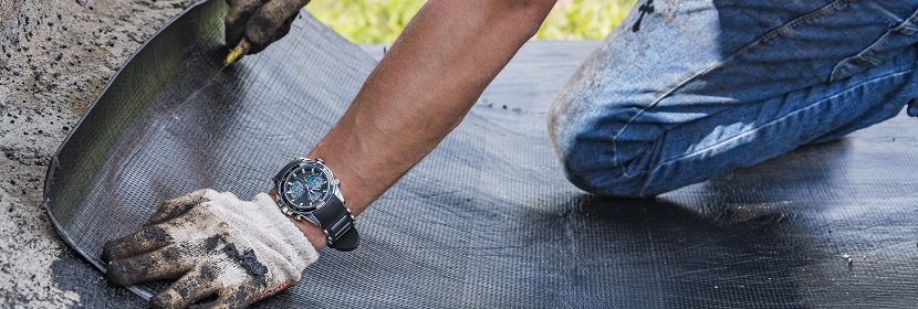 鐵過(guò)載小鼠的活動(dòng)性結(jié)核病模型