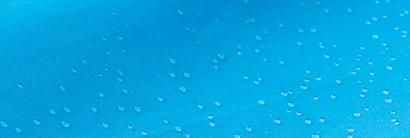 6-羥多巴胺誘導大鼠帕金森模型