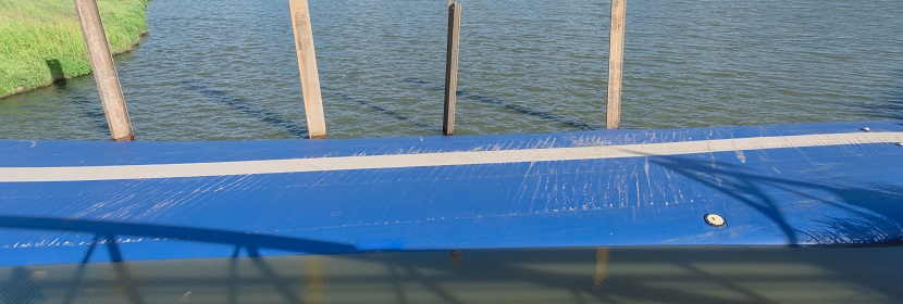 小鼠耐缺氧動物模型