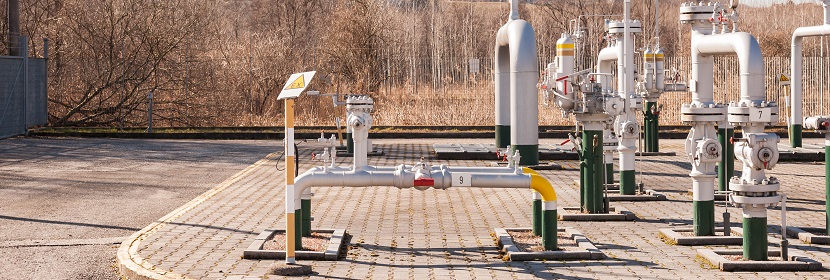 鄰甲基苯甲酸檢測(cè)