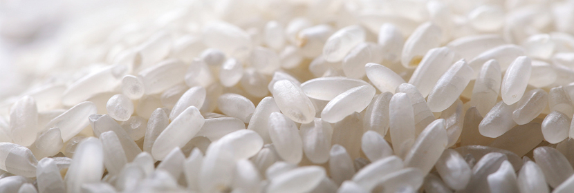 大米成分檢測(cè),大米檢測(cè)機(jī)構(gòu),大米檢測(cè)中心