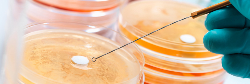 方法學驗證試驗