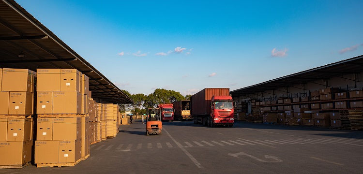 苜蓿草檢測(cè)