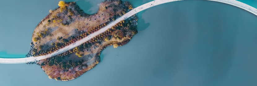 人工心臟瓣膜檢測