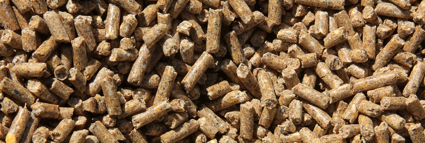 飼料中大腸菌群檢測