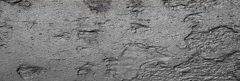 膠凝材料檢測(cè)