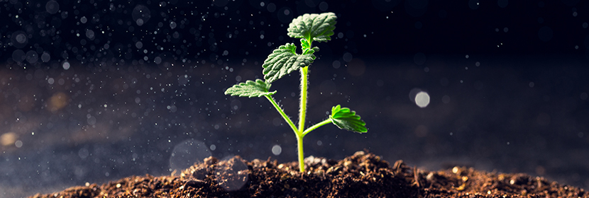 農(nóng)業(yè)用硝酸銨鈣檢測