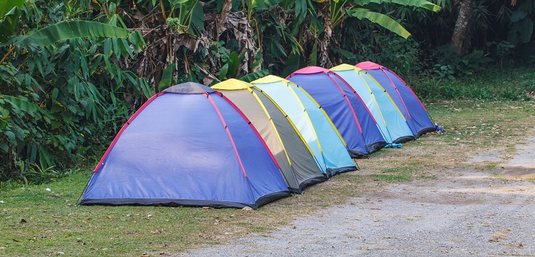 光學(xué)和輻射檢測(cè)