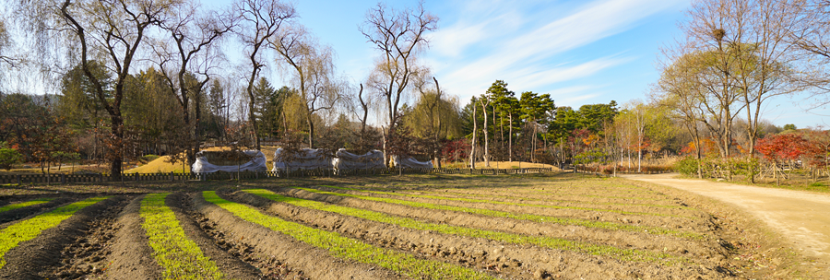 醫(yī)療射頻設(shè)備檢測