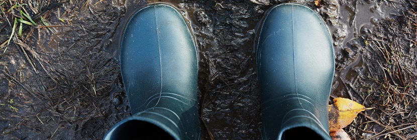 高通量檢測(cè)