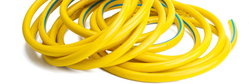 維甲酸誘導第一、二鰓弓綜合征大鼠模型