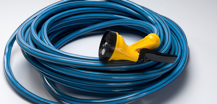 鏈脲霉素（STZ）誘導1型糖尿病大鼠模型