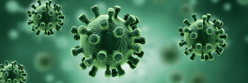 霉菌污染檢測(cè)