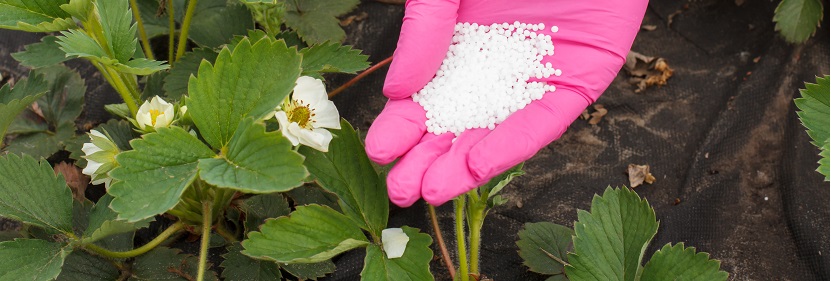 脲醛緩釋氮肥檢測(cè)