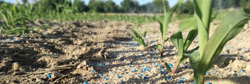 無機(jī)包裹型復(fù)混肥料檢測(cè)