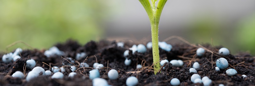 高爾夫球場(chǎng)草坪專用土壤調(diào)理劑檢測(cè)