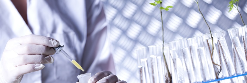 含海藻酸水溶肥料檢測