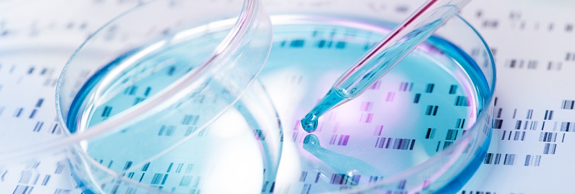 化妝品細(xì)胞染色體畸變?cè)囼?yàn)