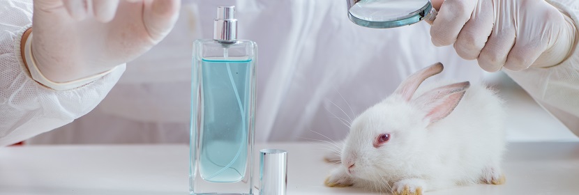 消毒劑陰道黏膜刺激試驗