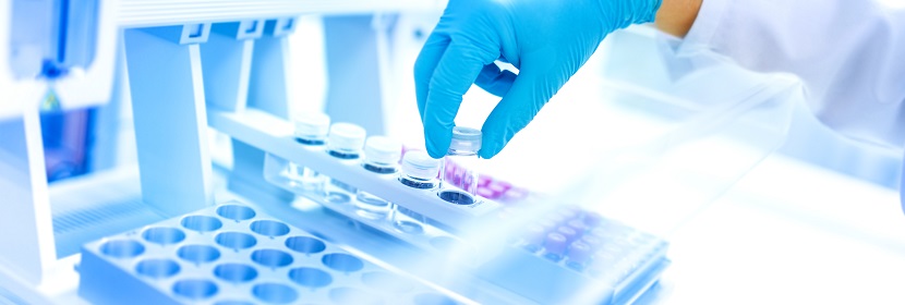 化學(xué)品神經(jīng)發(fā)育毒性試驗