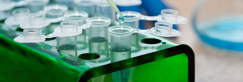 化學品顯性致死試驗