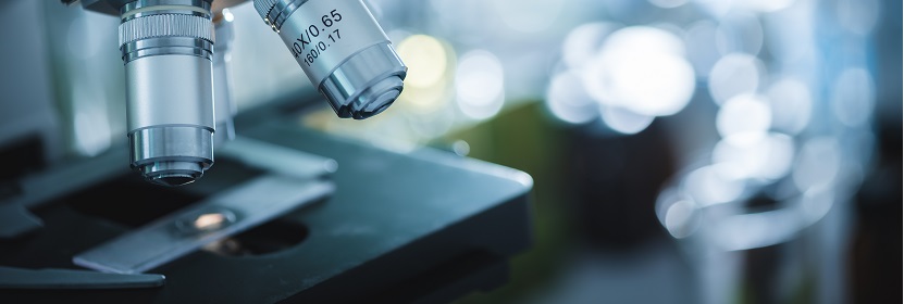 食品包裝用紙與塑料復合膜、袋檢測