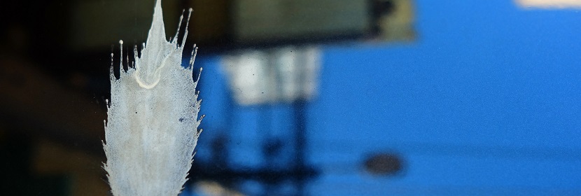 汽車塑料件用水性涂料檢測(cè)