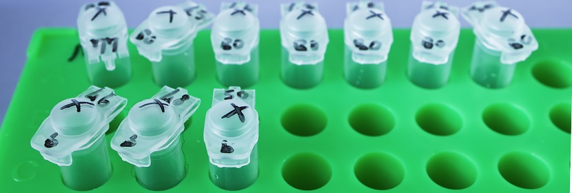 不飽和硅烷偶聯(lián)劑檢測