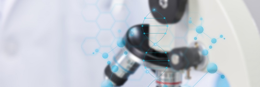 空氣凈化用竹炭檢測