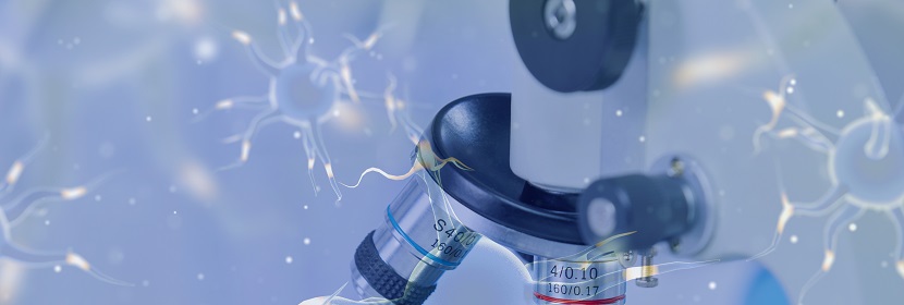 煙氣脫硫橡膠襯里檢測