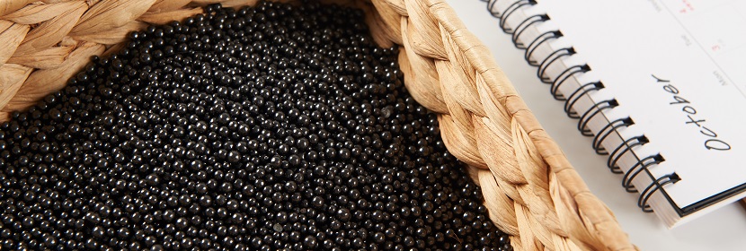 化學試劑 活性炭檢測